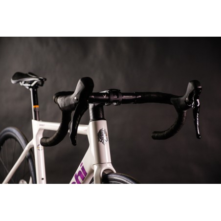 Bici da Strada Usata Bianchi Sprint 105 12s 2025