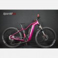 Ebike Mtb Nuova Bergamont E-Revox Pro FMN 2025