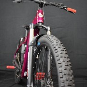 Ebike Mtb Nuova Bergamont E-Revox Pro FMN 2025