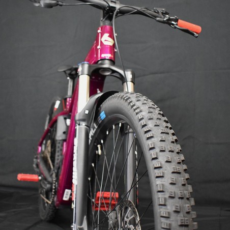 Ebike Mtb Nuova Bergamont E-Revox Pro FMN 2025