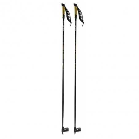 Bastoni Scialpinismo Ski Trab Gara