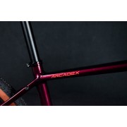 Bici Gravel Nuova Bianchi Arcadex AL GRX 610 12sp 2026