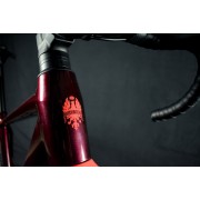 Bici Gravel Nuova Bianchi Arcadex AL GRX 610 12sp 2026