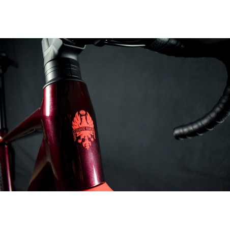 Bici Gravel Nuova Bianchi Arcadex AL GRX 610 12sp 2026