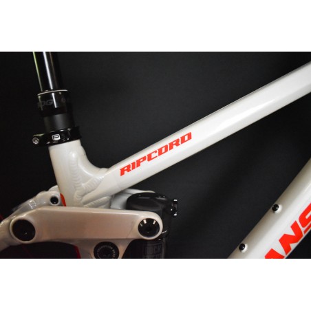 Enduro Mtb Nuova Transition Ripcord 24 2025