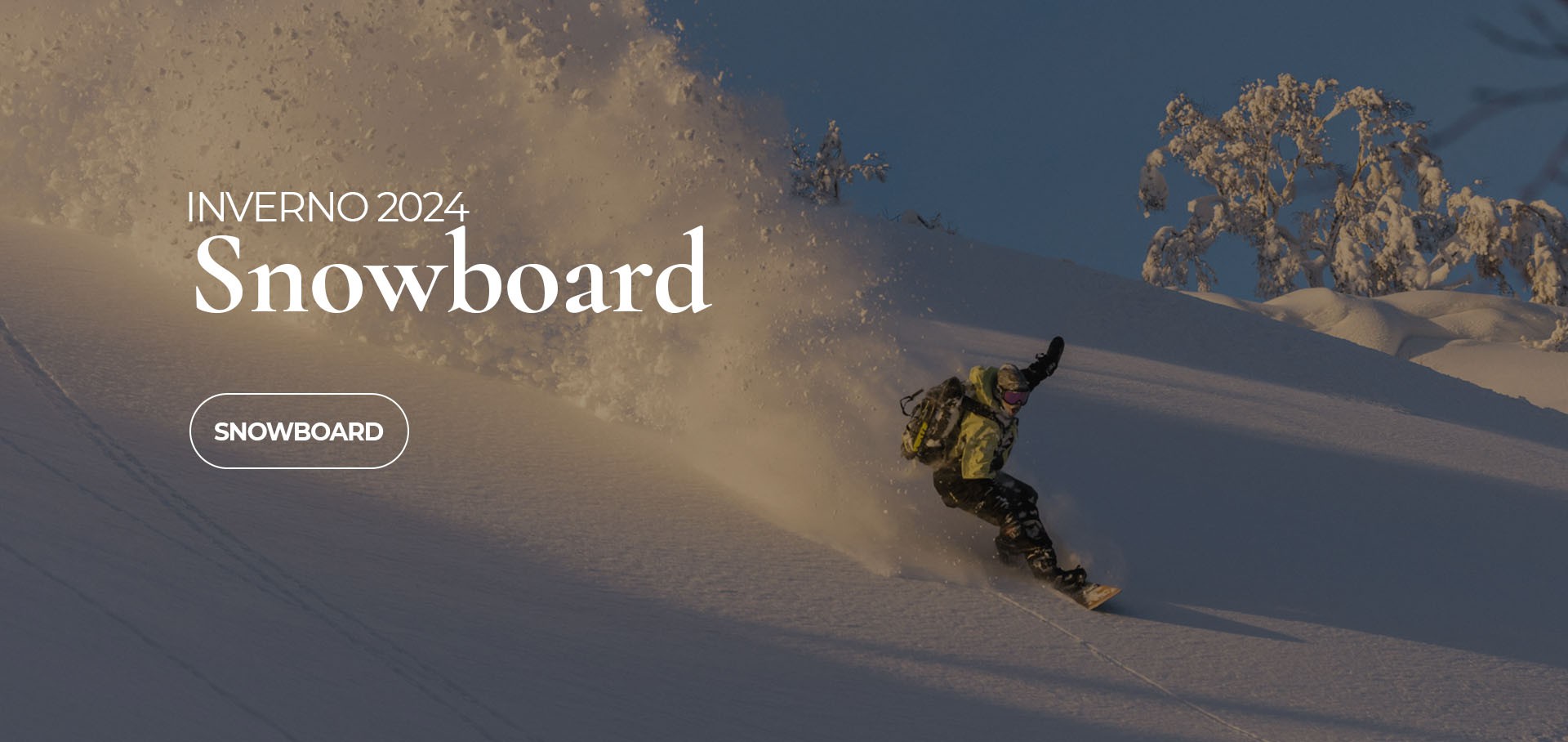 Snowboard 2024